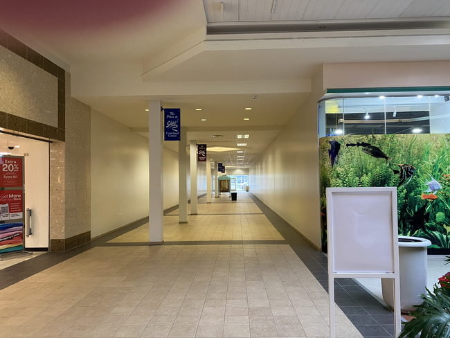 Courtland Center (Eastland Mall) - May 11 2022 (newer photo)